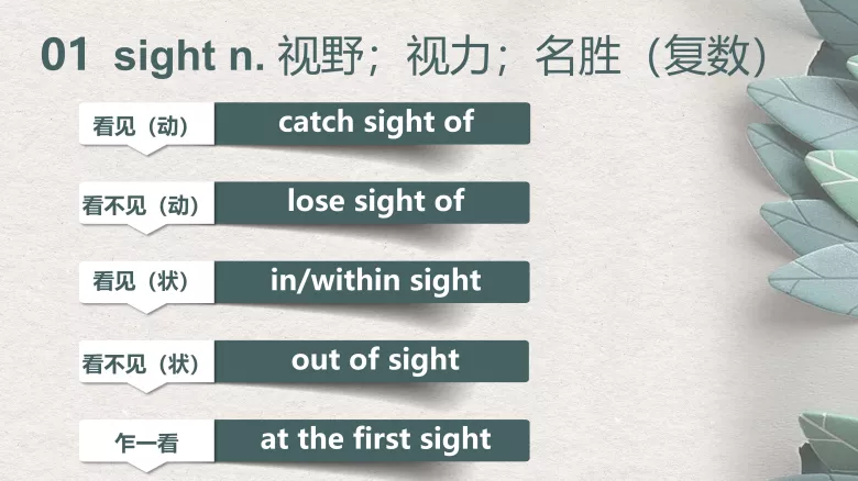 图片[4]-必修一Unit 2 Writing workshop 词汇课件-高英中语资源站