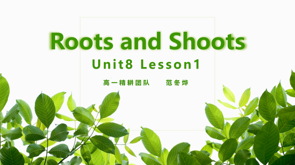 必修三Unit8Lesson1阅读课件-高英中语资源站