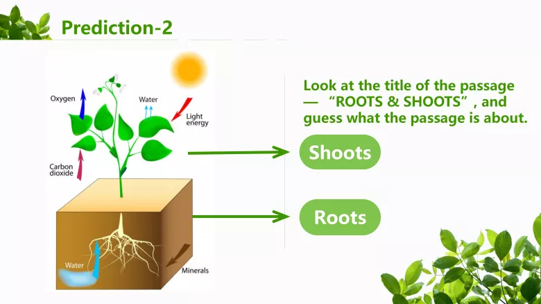 图片[3]-必修三 Unit 8 Lesson 1 阅读课件-高英中语资源站
