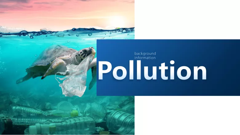 图片[3]-必修二 Unit 5 Topic talk Viewing Workshop 听说课件-高英中语资源站