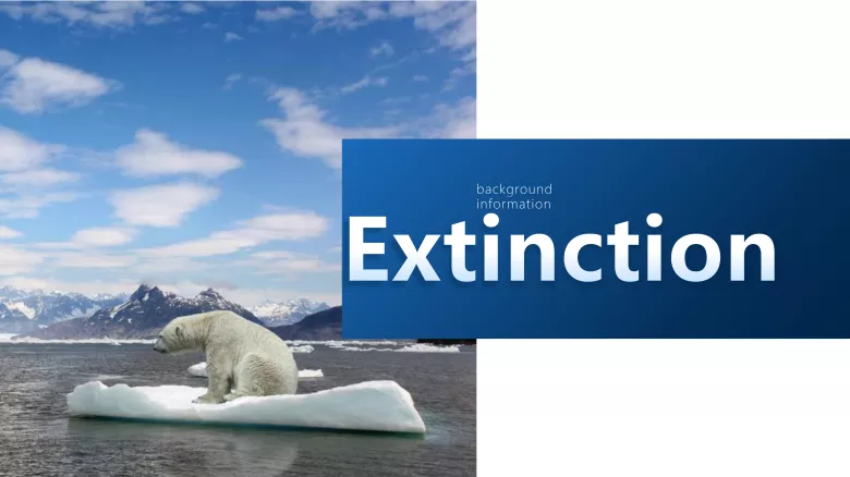 图片[4]-必修二 Unit 5 Topic talk Viewing Workshop 听说课件-高英中语资源站