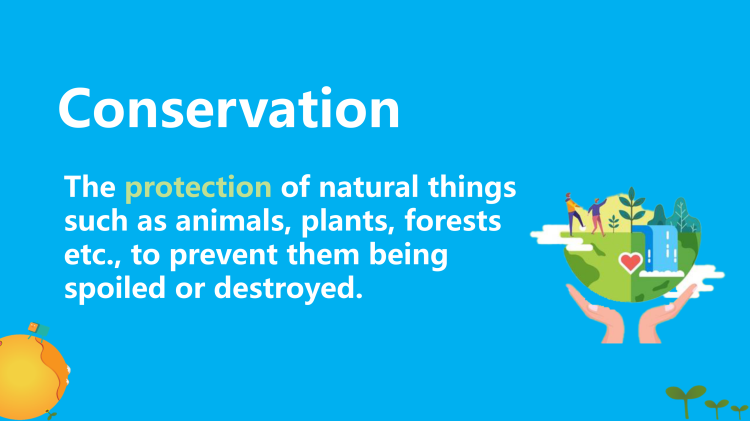 图片[2]-选择性必修一Unit3 Topictalk Viewingworkshop听说课件-高英中语资源站