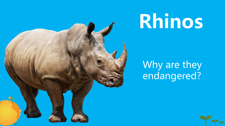 图片[6]-选择性必修一Unit3 Topictalk Viewingworkshop听说课件-高英中语资源站