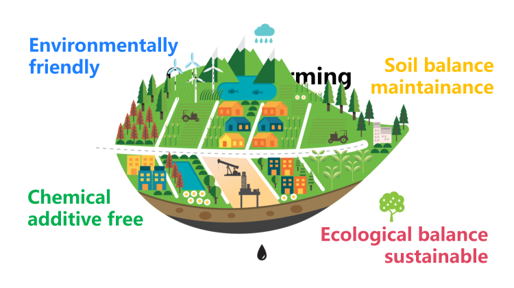 图片[2]-选择性必修一Unit3Writingworkshop写作课件-高英中语资源站