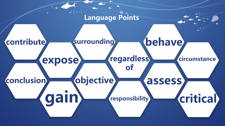 图片[2]-选择性必修二Unit5Lesson2词汇课件-高英中语资源站