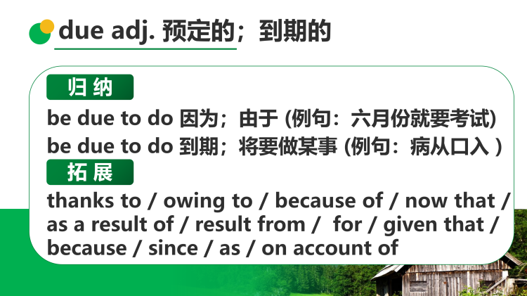 图片[6]-选择性必修四Unit10 Lesson3 词汇课件-高英中语资源站